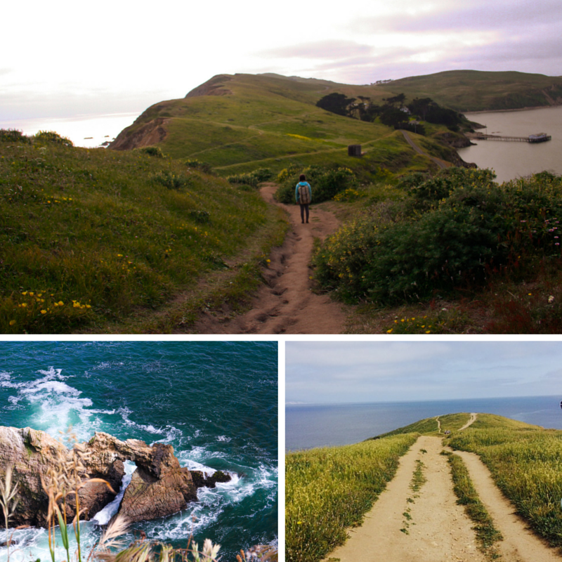 point reyes collage
